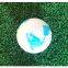 World map golf ball/earth golf ball/Novelty golf balls