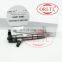ORLTL 0 445 110 885 Original Diesel Injector 0445110885 Auto Engine Diesel Injector 0445 110 885 Genuine Diesel Injector
