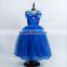 Kid's Cinderella Blue Color Dress Cinderella Cosplay Costume