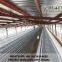 Ethiopia layer chicken cage equipment