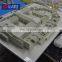 High quality architectural miniature scale model houses