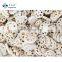 2021 Sinocharm IQF Frozen Vegetable Lotus Root 8-10mm lotus root