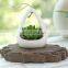 Wholesale White Ceramic Hanging Planters Flower Pot Faux Succulent Plant Pot Artificial Plant Wall Hanging Pot With Hemp Rope