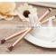Long Wooden Handle Eye Shadow Brush Blooming Brush 1pc