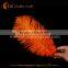 wholesale cheap ostrich feather for wedding decoration centerpiece