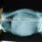 China KND-A/F CE medical dry film agfa argentina