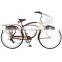 Aluminum alloy beach cruiser bike