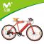 Road Type Electric Bike