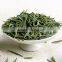 Tea raw material freeze dried types of green tea