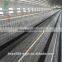 H Type New Design Pullet Rearing Cage With Lower Price
