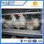 Chicken and poultry farming equipment/chicken egg layer cage