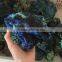 Natural Azurite Mineral Stone Crystal Specimen For Sale