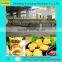 Automatic Fryer/deep Fryer/continuous Fryer