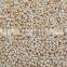 natural white sesame seed price