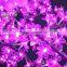 High quality of Light up Bauhinia cherry trees
