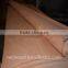 Top quality plb face veneer for india market