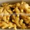 ginger production supply from ginger factory in China