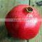 FRESH SWEET POMEGRANTE