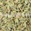 Indian Fennel seeds
