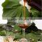 Discolored /Decolorizing /Bleaching Soya lecithin