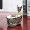 Unique Resin Dragon succulent plant pot