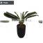 Factory direct sell artificial decorative indoor and outdoor plant tree with pot for decoration use