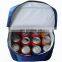 2016 new style Insulated refrigerated picnic mesh cooler bag