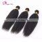 2017 hot sale kinky straight hair brazilian hair bundles hair salon equipment