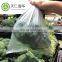 Ok Compost PLA Based Compostable Vegetable Fruit Plastic Bag on Roll