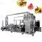Full Automatic Low Temperature Vacuum Fryer Okra Radish Chips Vacuum Frying Equipment