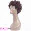 Wholesaler of Dark Brown Short Curly Human Hair Wig