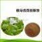 ISO Factory Supply Purslane Extract Portulaca Oleracea Extract/Bacopa Monnieri Extract 5:1 10:1 20:1