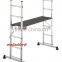 Multi-Purpose scaffold ladder