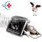 VET-A020V  Farm portable Wrist  Full Digital  Vet ultrasound scanner/animal ultrasound machine