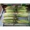 GYJL-2020 fresh corn peeling machine corn