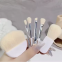 New Arrival Portable Mini Makeup Brush Set Loose Powder Concealer Fan Brush Lip Liner Travel-Friendly Makeup Brushes Small Box
