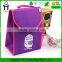 600D polyester fitness cooler bag school and office thermal lunch bag