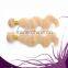 100g 613# Blonde Brazilian Human Hair Extensions Body Wave Hair Weft