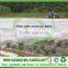 Biodegradable Non woven Polypropylene Fabric Manufacturer for Agriculture