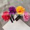 2015 New fashion wholesale cute plant bean sprouts hair jewelry seven-spot ladybird hair clip TD52