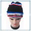 New fashion knit hats Acrylic crocheted hat,custom knitted hat ,embroidered winter hat