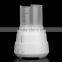 LED Light Mini Ultrasonic Fogger