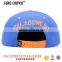 3d logo snap back hat/custom snap back hats wholesale/3d embroidery snap back hat