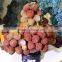 Natural beautiful agalmatolite stone Lychee Tree
