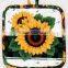 Pot Holders