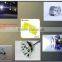 High Power smd 3535 led datasheet in pcb white led chip