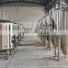 Hot Sale 500L Beer Brewing Equipment With 1000L Fermentation Tank
