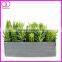 mini succulent planter