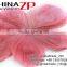 Leading Supplier CHINAZP Wholesale Wonderful Decorative Colored Pink Trimmed Peacock Feathers Eyes for Earrings