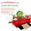 Automatic Vacuum Sealing System, Mini Vacuum Sealer for Food Preservation